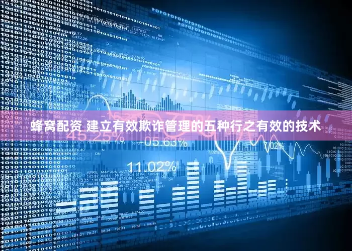 蜂窝配资 建立有效欺诈管理的五种行之有效的技术