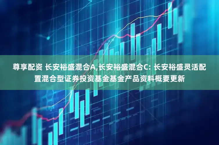 尊享配资 长安裕盛混合A,长安裕盛混合C: 长安裕盛灵活配置混合型证券投资基金基金产品资料概要更新