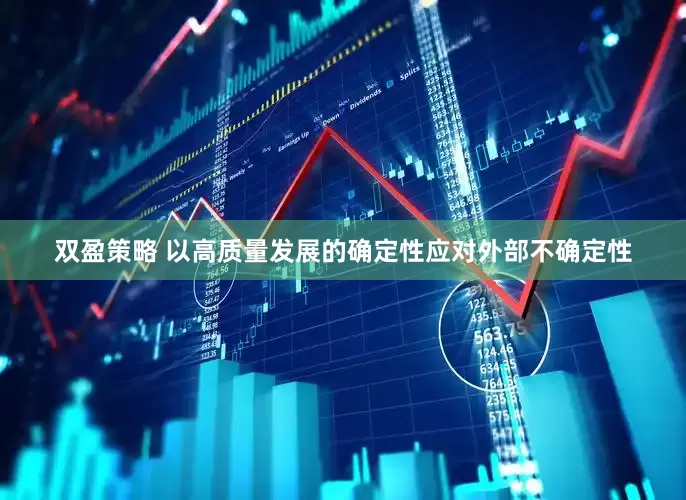 双盈策略 以高质量发展的确定性应对外部不确定性