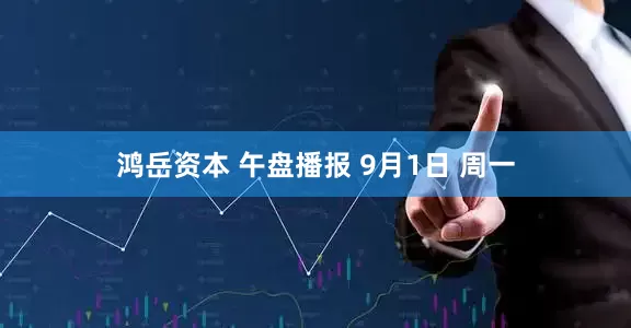 鸿岳资本 午盘播报 9月1日 周一