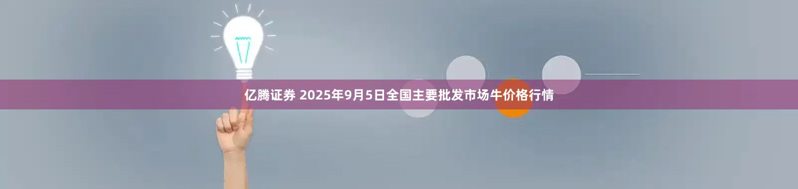 亿腾证券 2025年9月5日全国主要批发市场牛价格行情